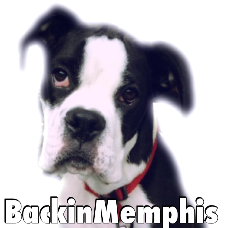 Back in Memphis